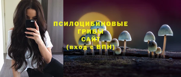 скорость Алексин
