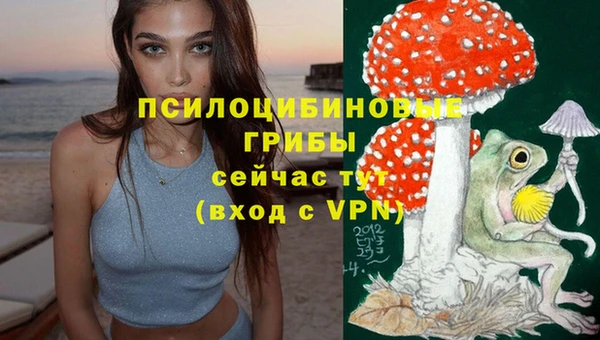 прущая мука Алзамай