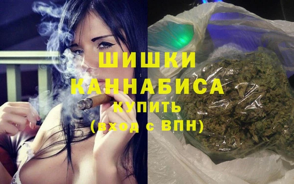 ПСИЛОЦИБИНОВЫЕ ГРИБЫ Алексеевка