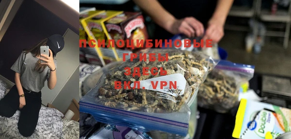 прущая мука Алзамай