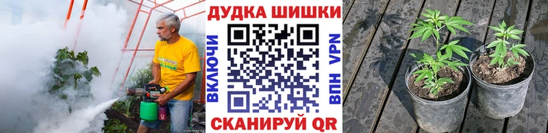Конопля ГИДРОПОН  darknet телеграм  Островной 